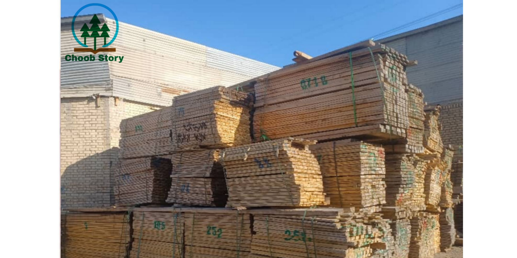 راهنمای کامل وزن انواع چوب