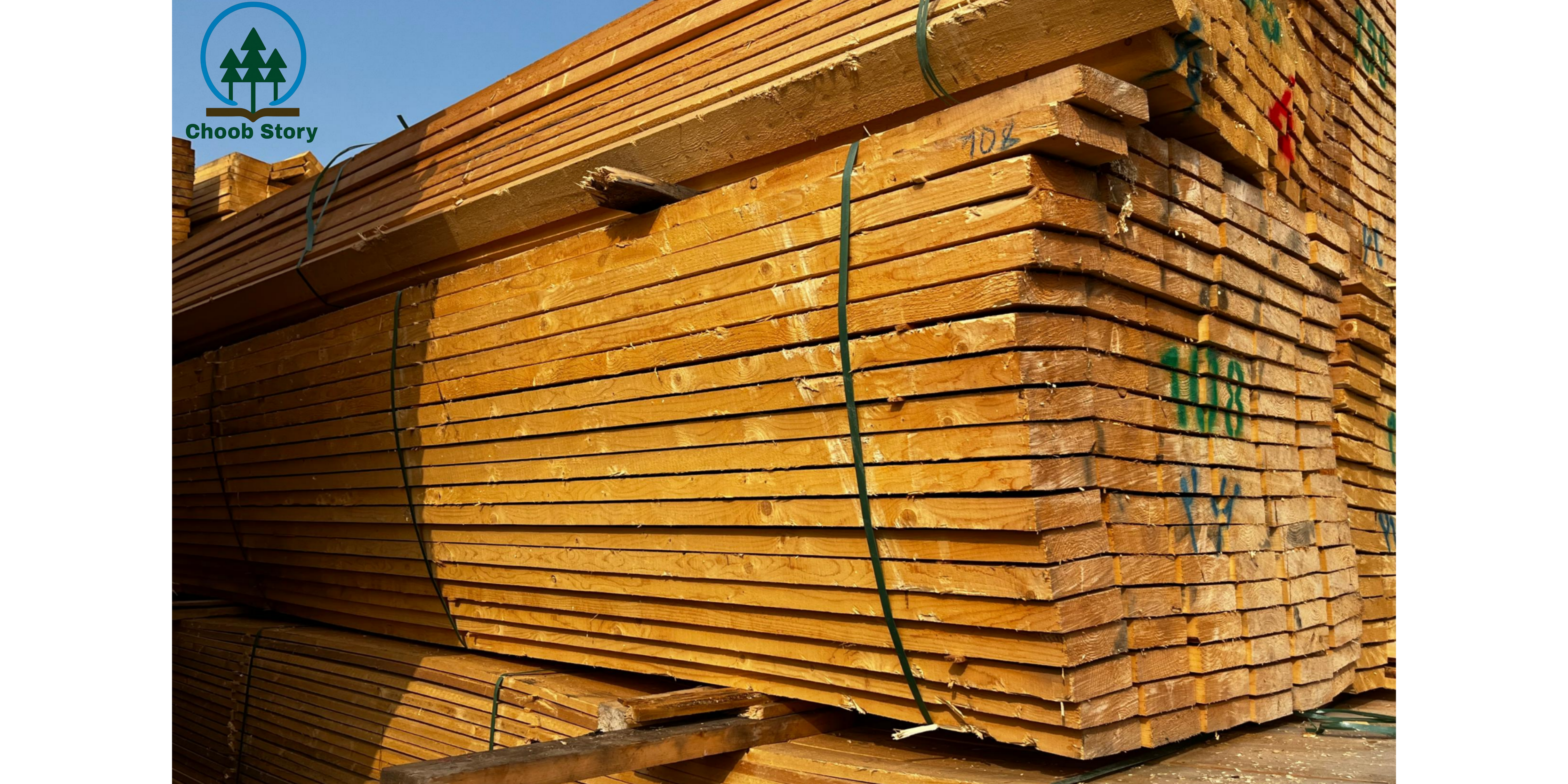 اجزای تشکیل دهنده چوب