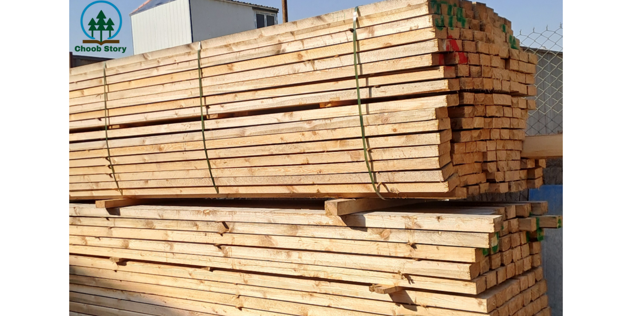 درباره چوب روس بیشتر بدانید...