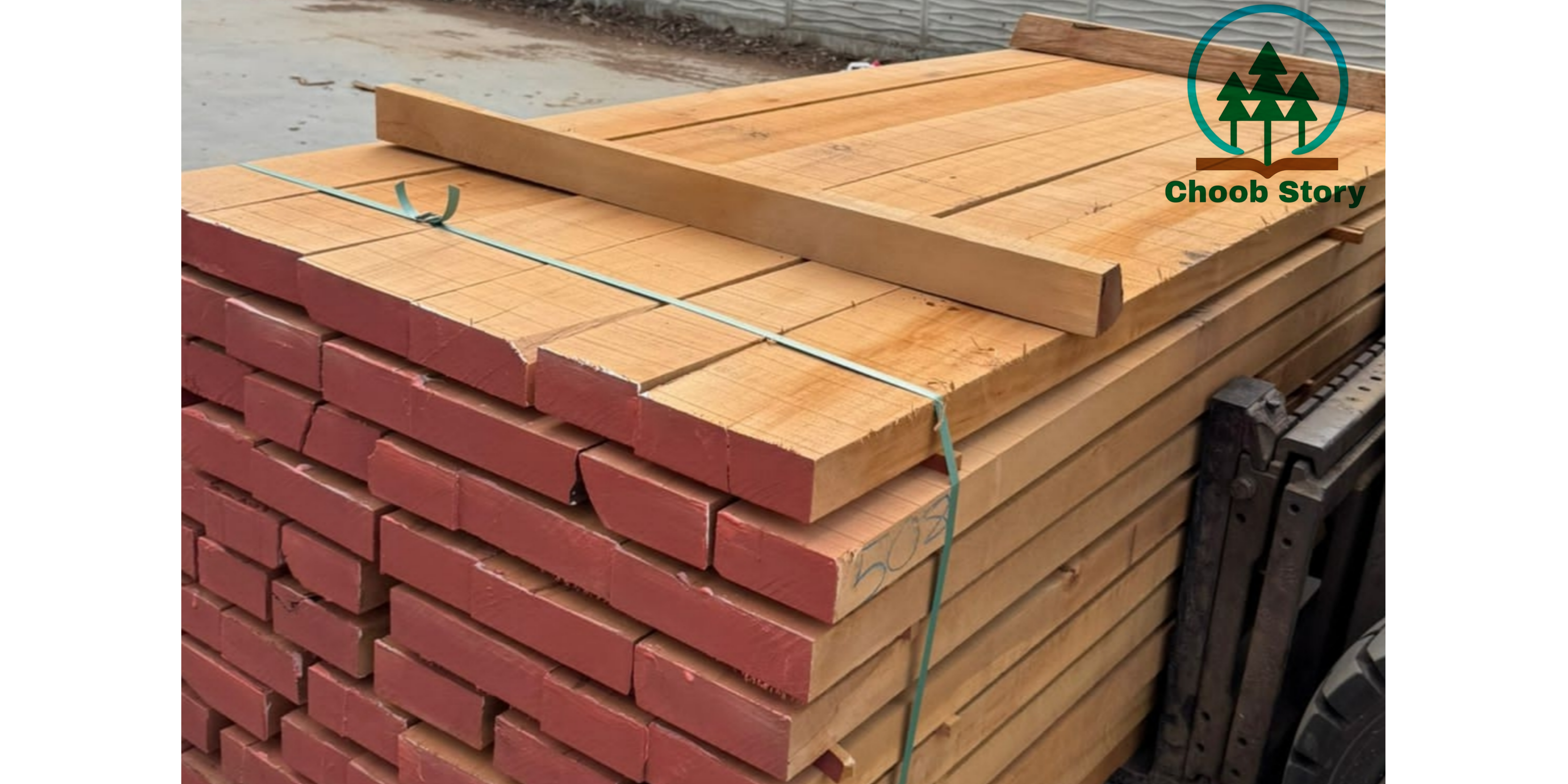 درمورد چوب راش بیشتر بخوانید...